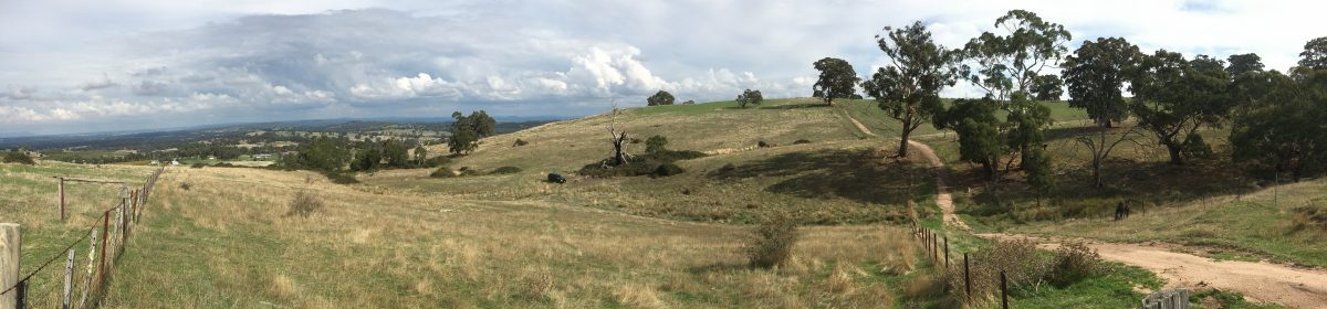 Farastone Farm – Faraday